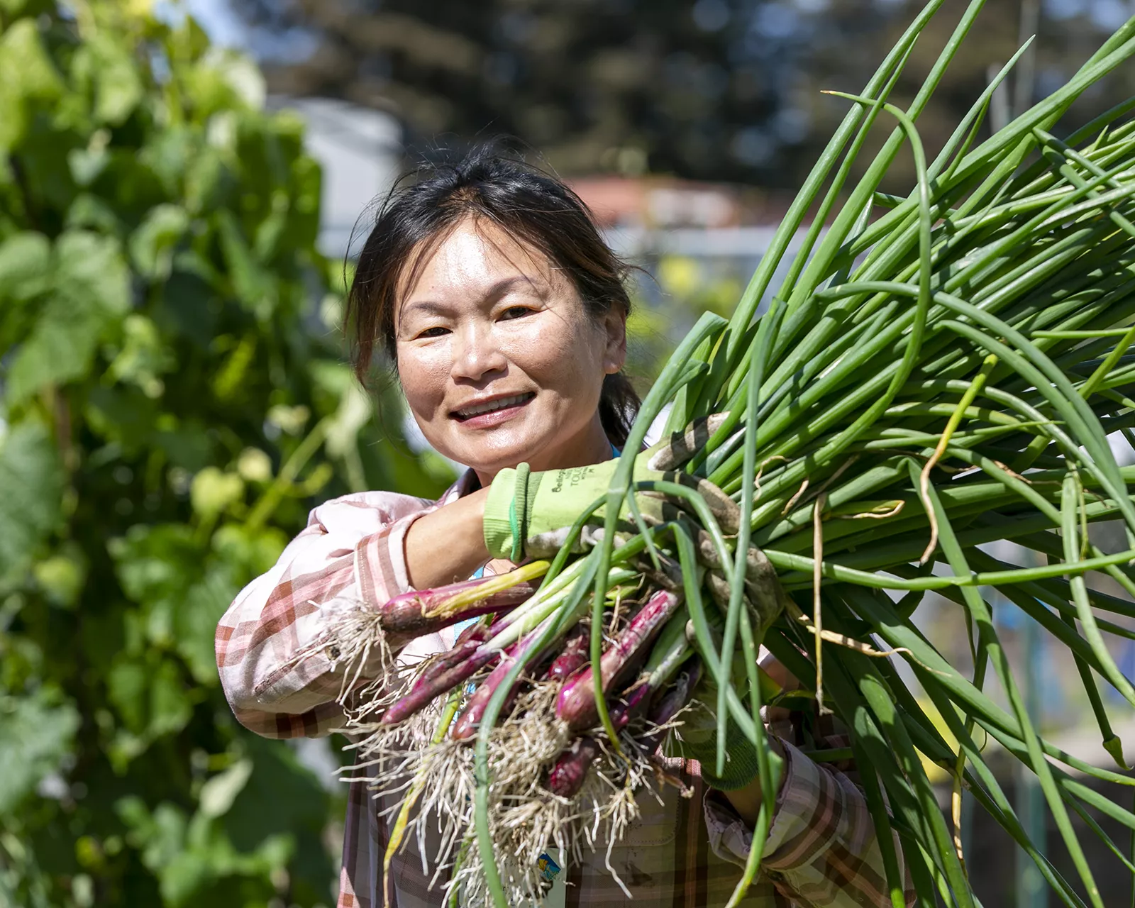 Woman in community garden holding vegetables