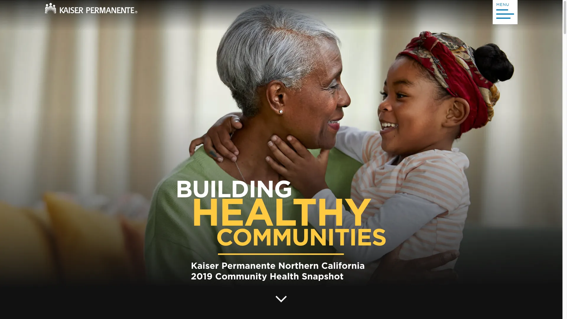 Entry screen of 2019 Community Health Snapshot